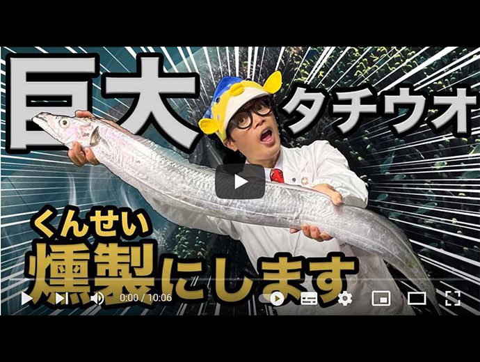 特別ライター：さかなクンのギョ挨拶｜Sakanadia（サカナディア）｜JF